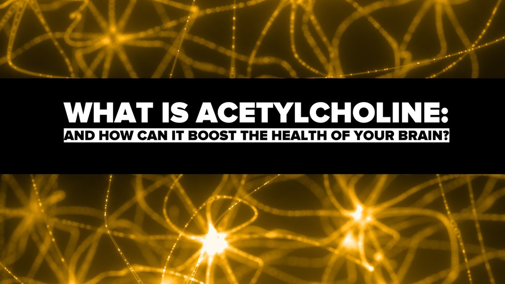 WHAT IS ACETYLCHOLINE AND HOW CAN IT BOOST THE HEALTH OF YOUR BRAIN?