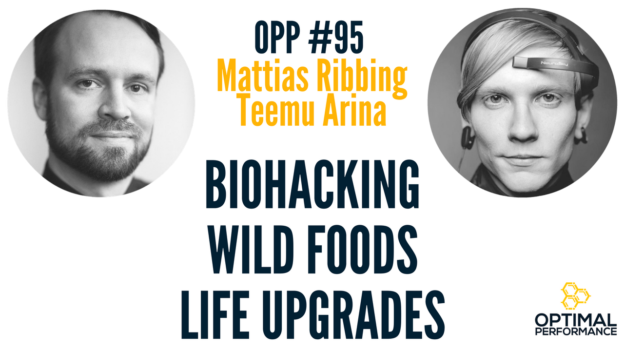 Biohacker Summit 2017: Memory Upgrades, Wild Foods, and Thermogenesis with Mattias Ribbing and Teemu Arina