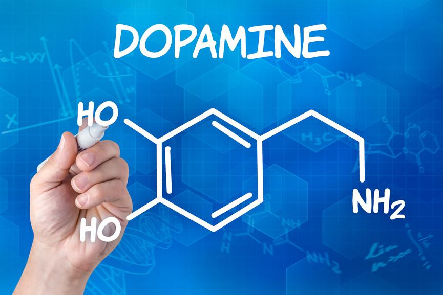Dopamine Metabolism for Optimal Performance