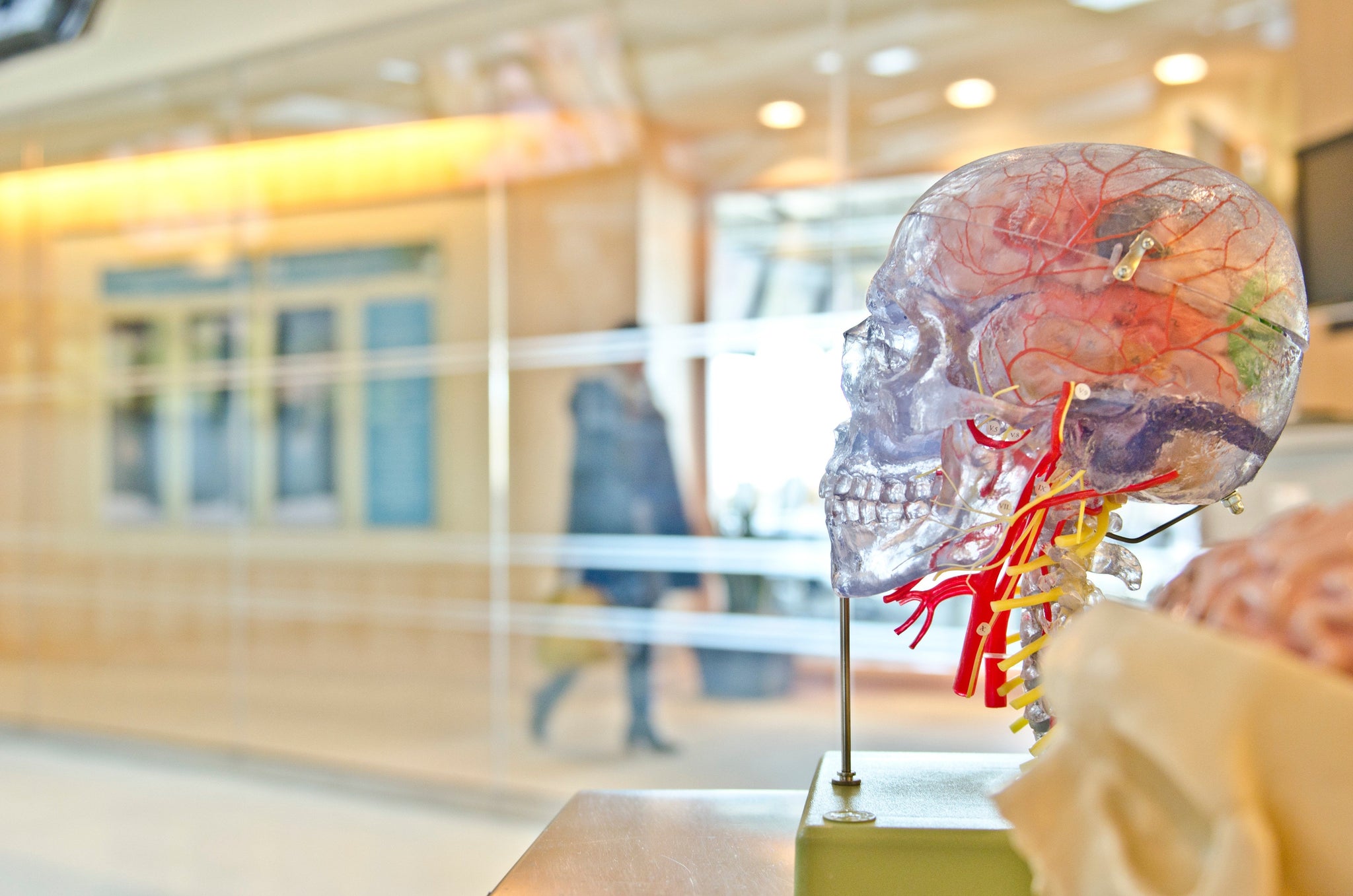 NeuroRadiologist Reveals Top 7 Risk Factors for Cognitive Decline