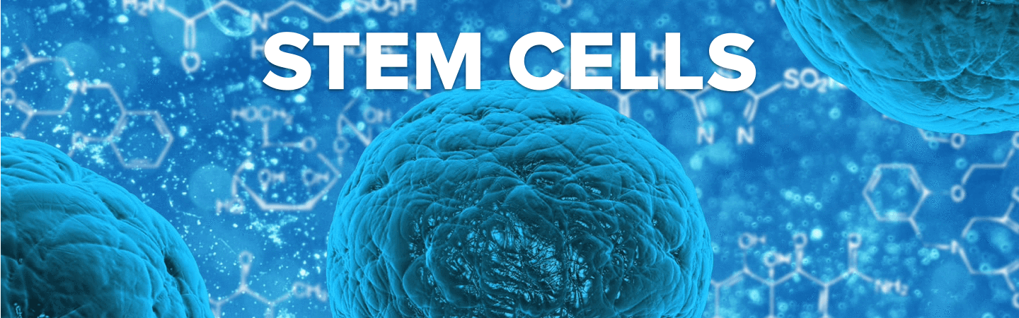 Hacking Stem Cells
